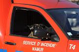 CAPTURE DU CHIEN 053